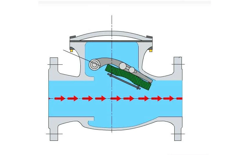 Check valve construction