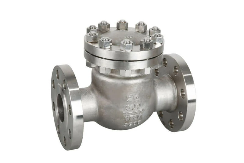 Stainless steel check valve